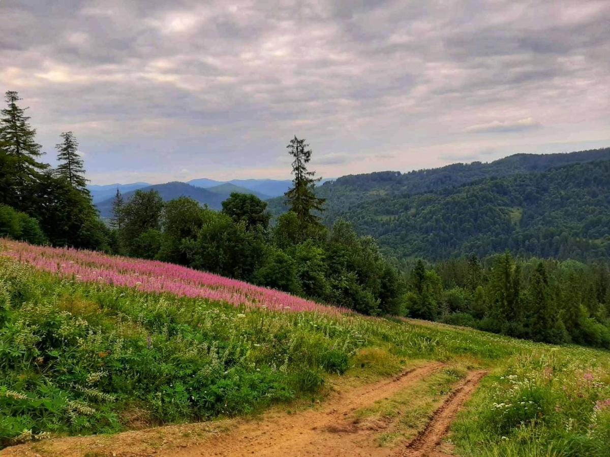 Шале Карпатська Казка Slavske Exterior photo