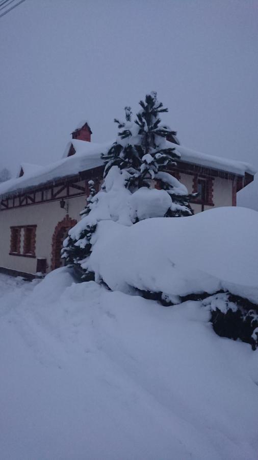 Шале Карпатська Казка Slavske Exterior photo