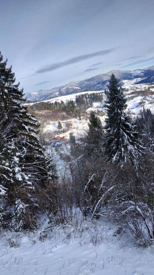 Шале Карпатська Казка Slavske Exterior photo