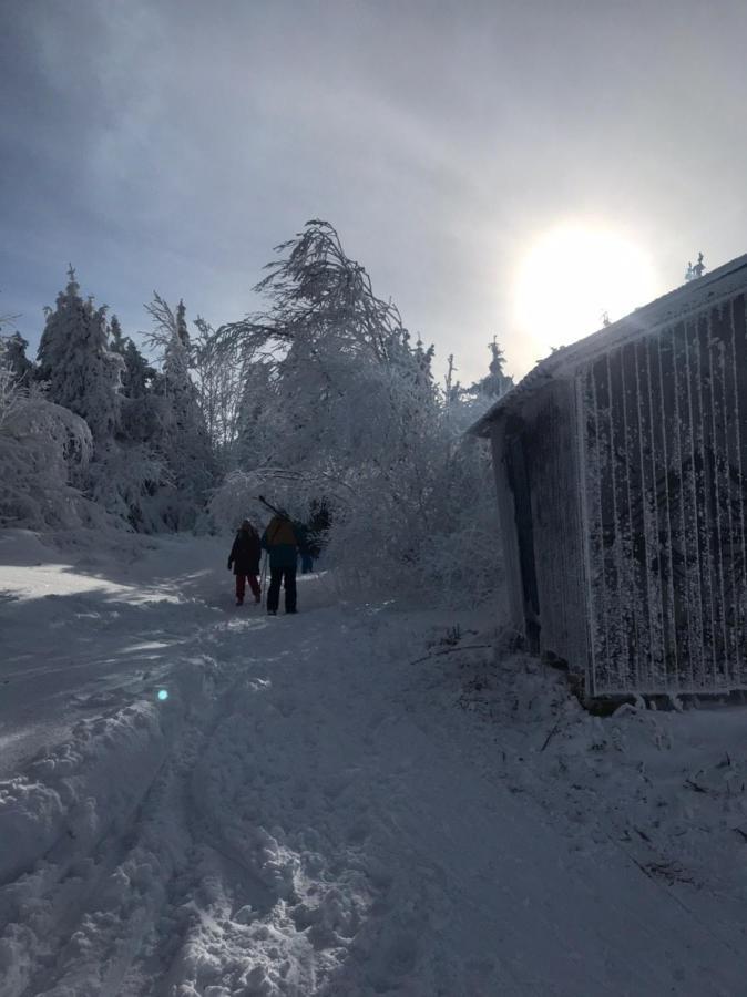 Шале Карпатська Казка Slavske Exterior photo